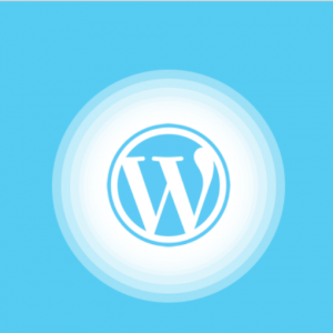 Curso WordPress Professional Essencial – Felipe Cardozo 2020.1