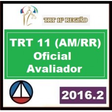 CURSO PARA CONCURSO TRT 11ª REGIÃO CARGO: OFICIAL DE JUSTIÇA AVALIADOR FEDERAL CERS 2016