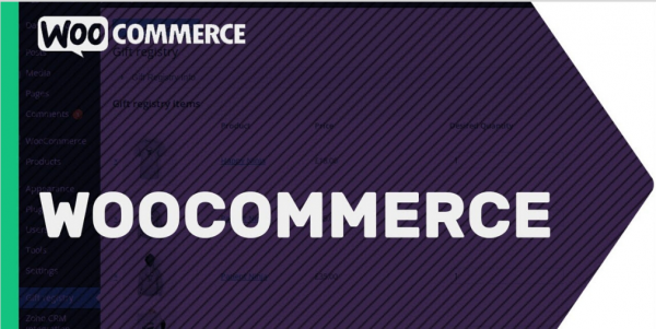 WordPress WooCommerce Essencial – Ricardo Aleixo 2020.1